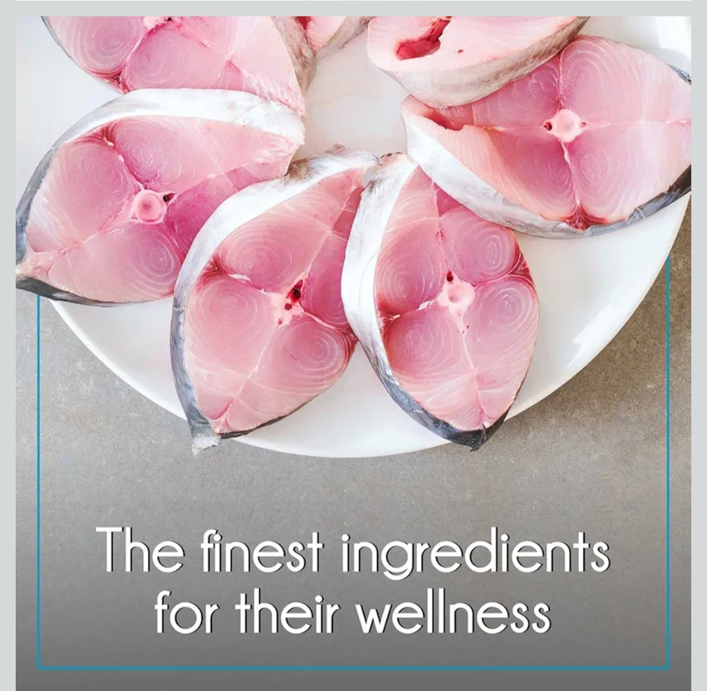 Purepet Adult Dry Cat Food Ocean Fish Flavour, 6 kg Pack