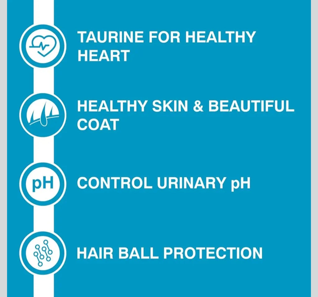 Purepet Adult Dry Cat Food Ocean Fish Flavour, 6 kg Pack